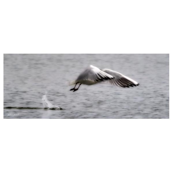 PHOTO84, CLUB, 84 , LUBERON